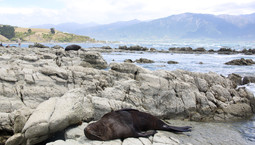 Sommerferien - Wir brauchen auch eine Auszeit.